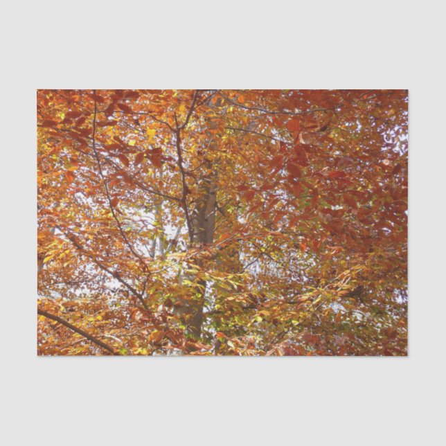 Branches of Orange Leaves Autumn Nature Tissue Paper (Front)