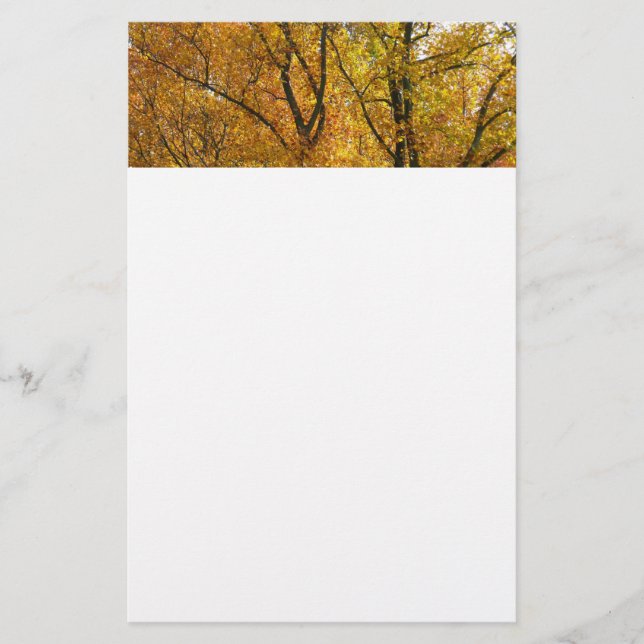 Branches of Yellow Leaves Bright Autumn Colourful Stationery (Front)