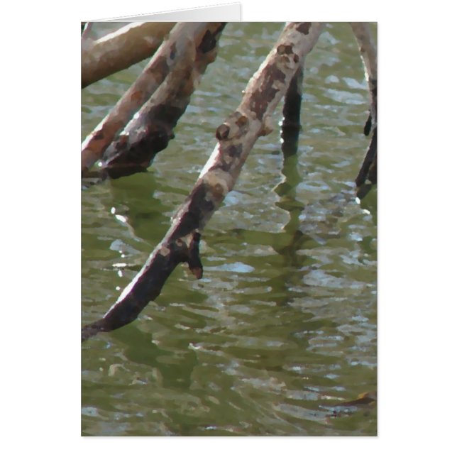 Branches Toutes les occasions Carte de voeux (Devant)