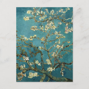 Branches with Almond Blossom by Vincent Van Gogh Postcard