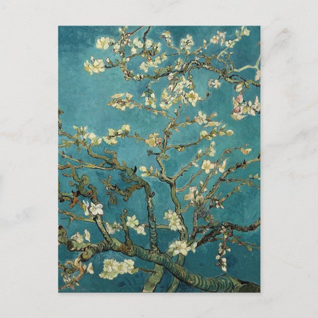 Branches with Almond Blossom by Vincent Van Gogh Postcard (Front)