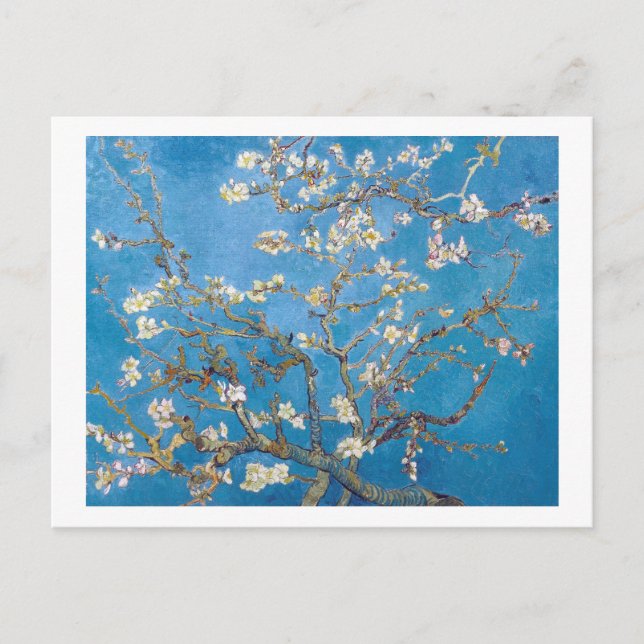 Branches with Almond Blossom Van Gogh Postcard (Front)