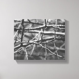 Branches with spines canvas print