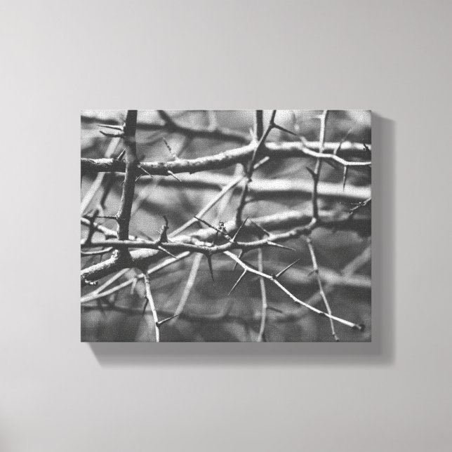 Branches with spines canvas print (Front)