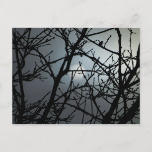 Branching Blank Notecard 2 Postcard