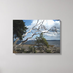 Branching Out Nature Scene Canvas Print