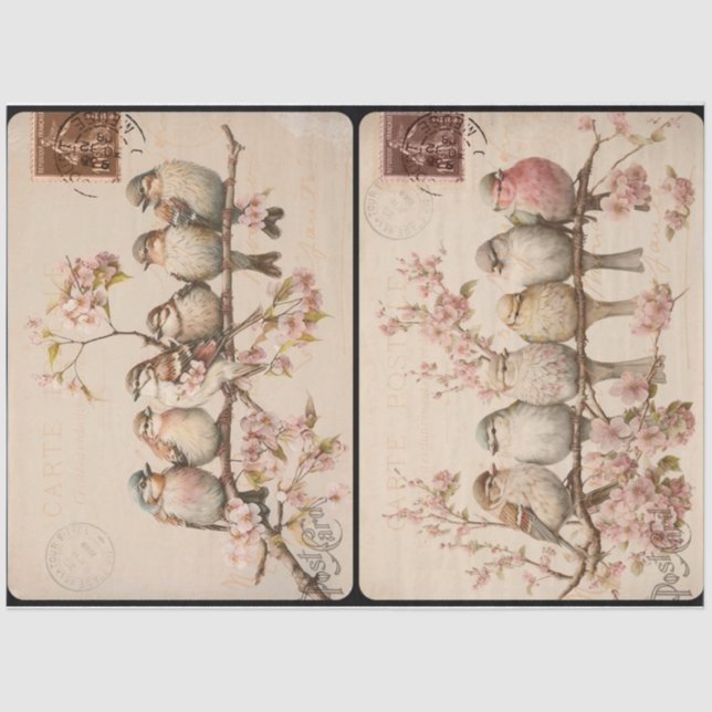 Branchy Birds Tissue Paper (Front)