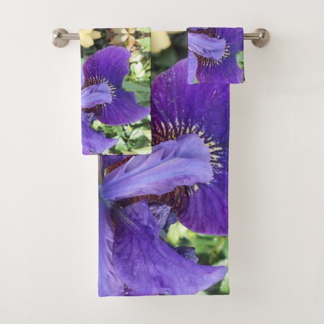 Brandeis (En situation)