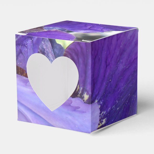 Brandeis Favor Box (Front Side)