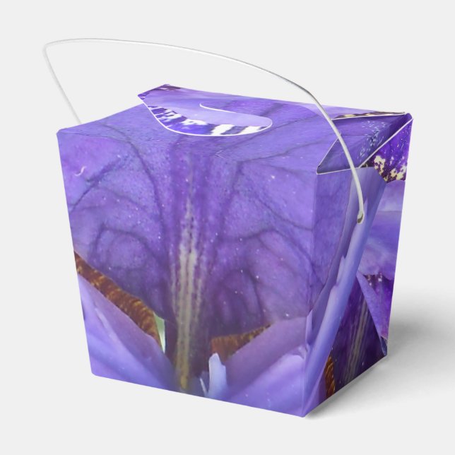 Brandeis Favor Box (Back Side)