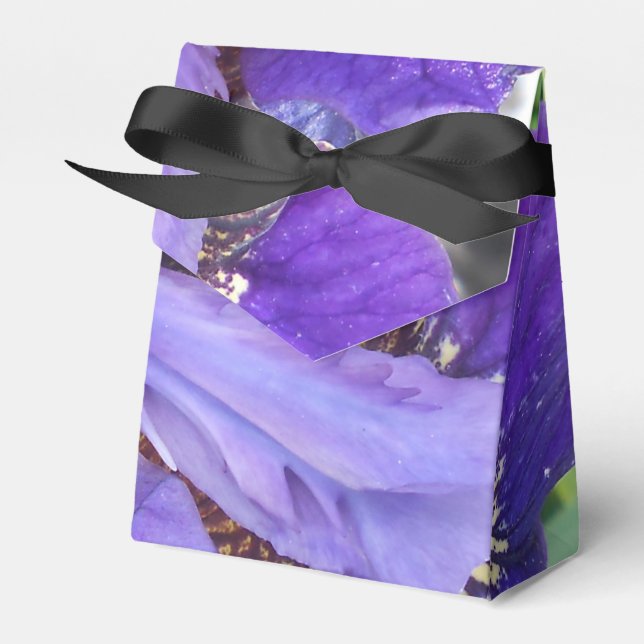 Brandeis Favor Box (Front Side)