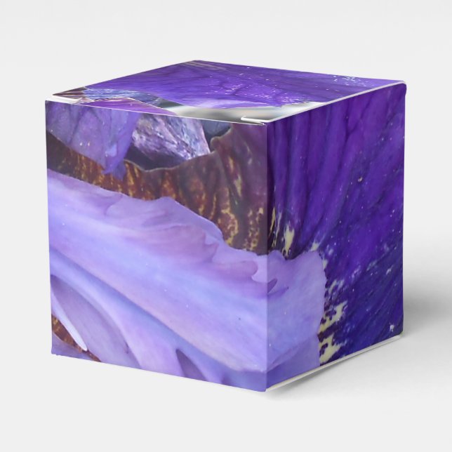 Brandeis Favor Box (Front Side)