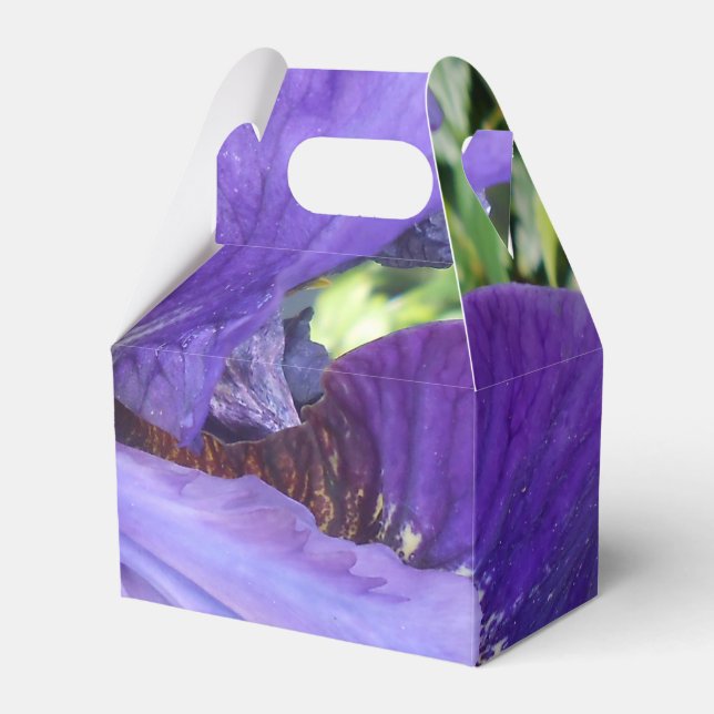 Brandeis Favor Box (Front Side)