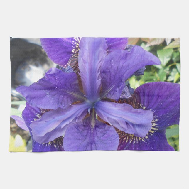 Brandeis Kitchen Towel (Horizontal)