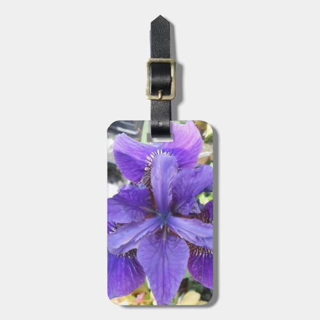 Brandeis  luggage tag (Front Vertical)