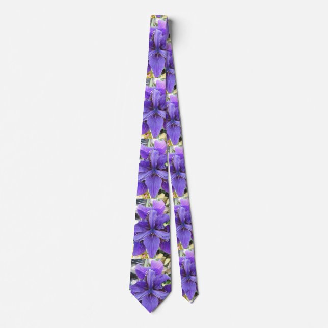Brandeis Tie (Front)