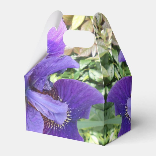 Brandels Favor Box (Front Side)