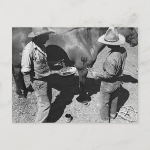 Branding horses with the pitchfork brand postcard