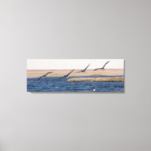 Brandt Geese Flying and Artic Loon Photo Designed Canvas Print