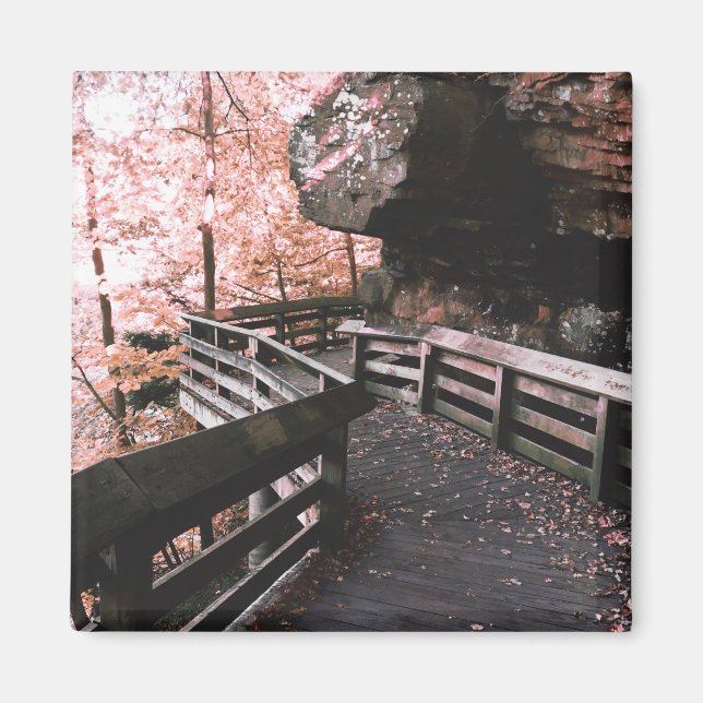 brandywine boardwalk magnet (Front)