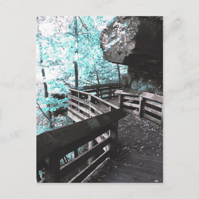 brandywine boardwalk postcard (Front)