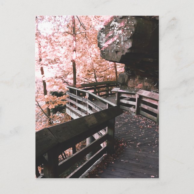 brandywine boardwalk postcard (Front)