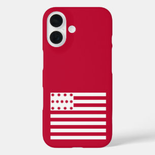 Brandywine flag iPhone 16 case