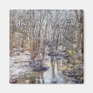 Branson Fall Creek hiver neige peint aimant