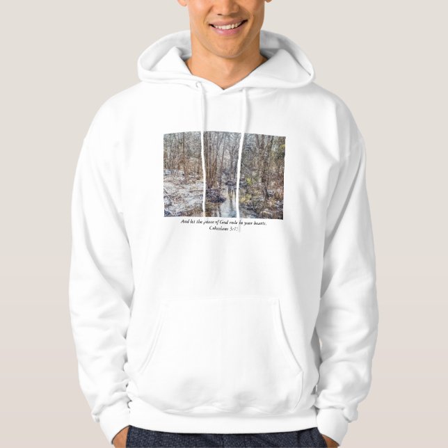 Branson Fall Creek Winter Snow Painterly Hoodie (Front)
