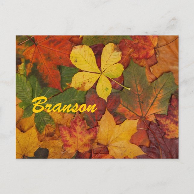 Branson Missouri Automne Feuilles Carte postale (Devant)