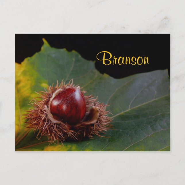 Branson Missouri, Autumn Leaf With Nut Postcard (Front)