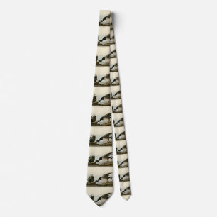 Brant Goose (Brant) from Audubon Birds of America Tie