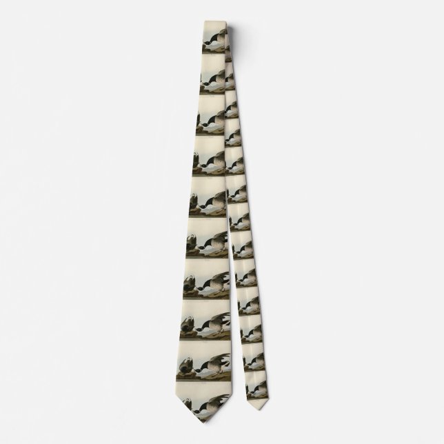 Brant Goose (Brant) from Audubon Birds of America Tie (Front)