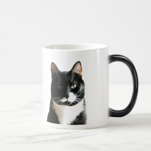Brat Cat Stare Morphing Mug