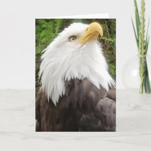 Brave Eagle Greeting Card