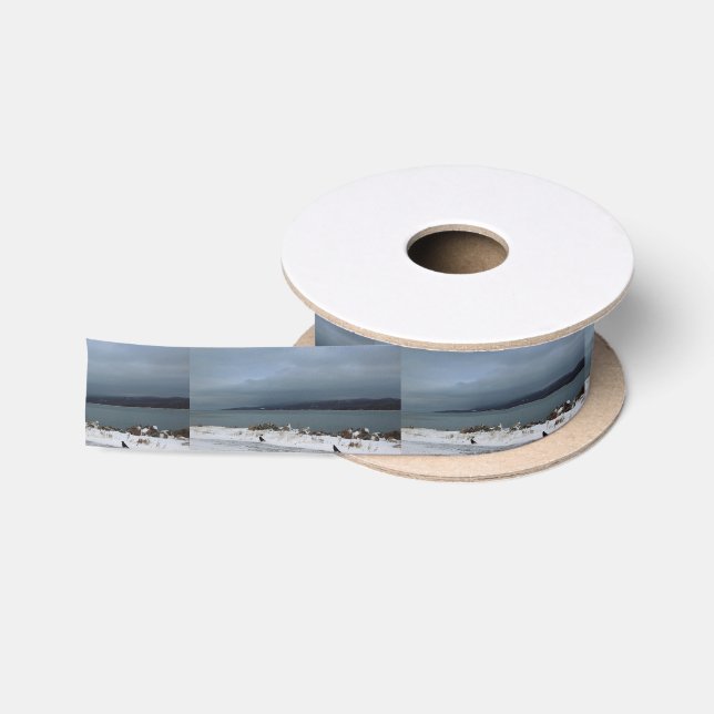 Braving the Storm Together Satin Ribbon (Spool)