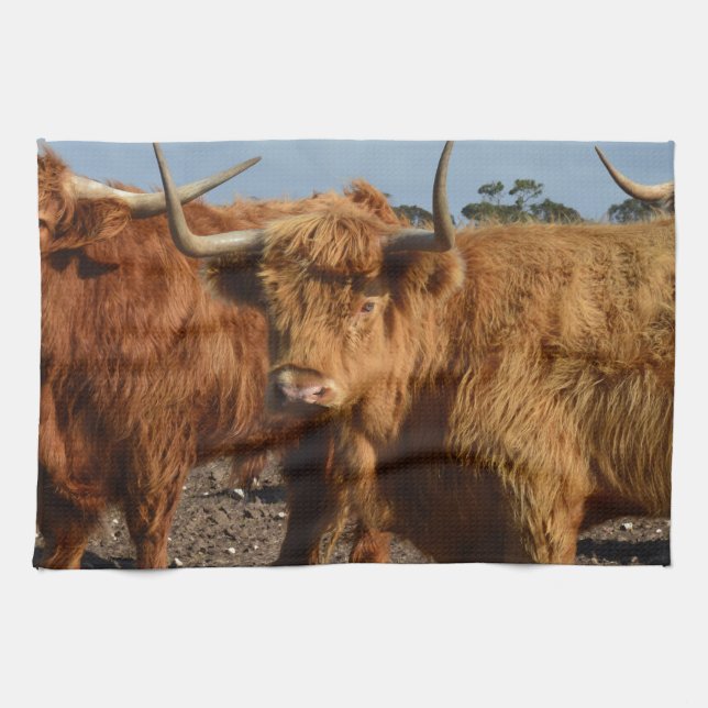Brawny Beauty: The Majestic Big Brown Highland Cow Kitchen Towel (Horizontal)