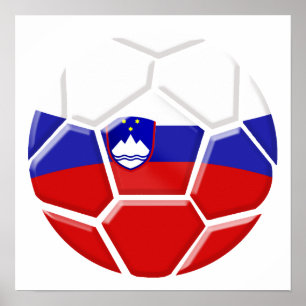 Brazil 2014 World cup Soccer Slovenian flag Slovak Poster