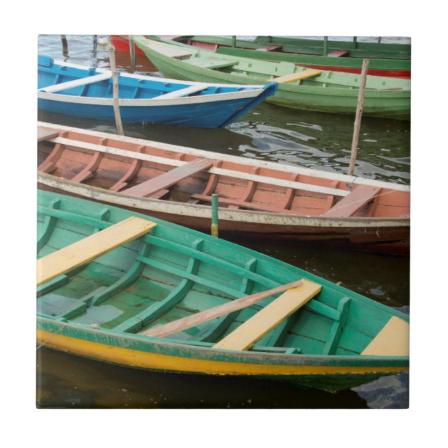 Brazil, Amazon, Alter Do Chao Tile (Front)