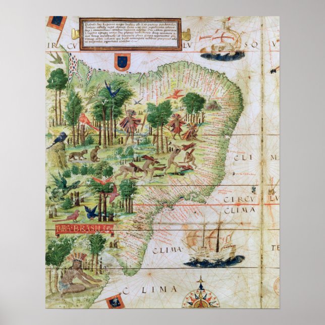 Brazil from the 'Miller Atlas' Poster (Front)