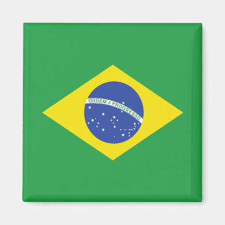 Brazil High quality Flag Magnet