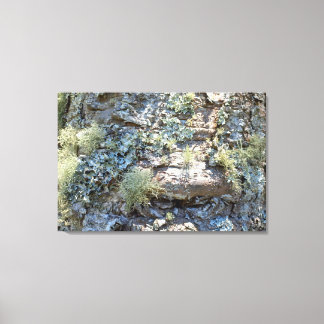 BRAZIL NATURE Screen Printing Canvas Print