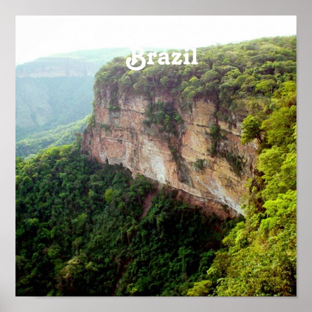 Brazil Rainforest Poster (Front)