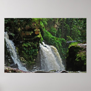 Brazil Rainforest Waterfall Poster