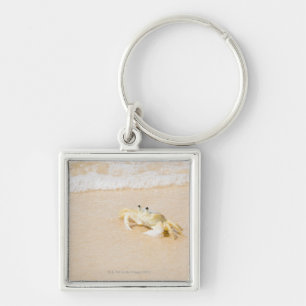 Brazil, Rio de Janeiro, Buzios, Crab on Keychain