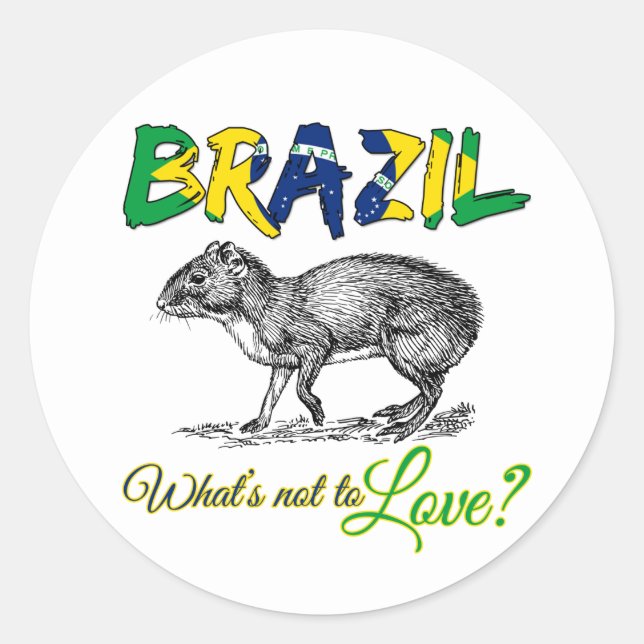 Brazil - What's Not to Love Brasil Quote Classic Round Sticker (Front)