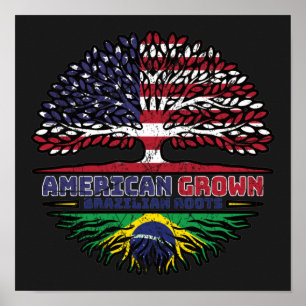 Brazilian Brazil US American USA United States Poster