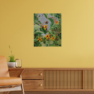 Brazilian Climbing Shrub and Humming Birds Poster
