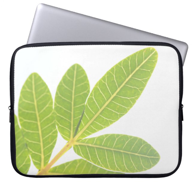 Brazilian holly Plant Leaf Pattern Laptop Sleeve (Front)