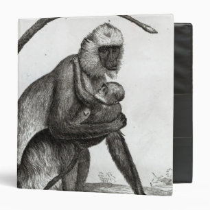 Brazilian Monkey Binder